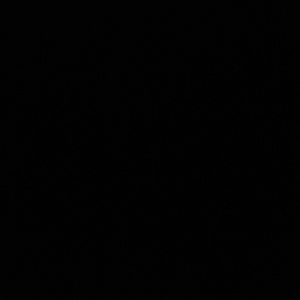 Meet your Posher, Bridget